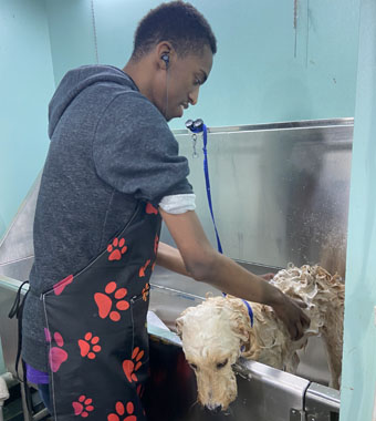 A young man washing a dog in a large metal sink.