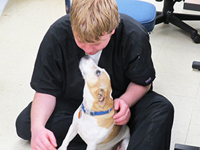 A young man in medical scrubs is nose-to-nose with a Jack Russell terrier.